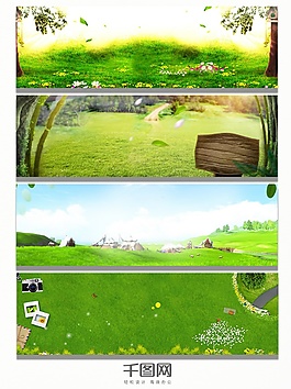 草地綠葉背景banner