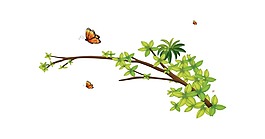 小清新树枝蝴蝶元素
