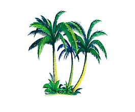 小清新綠色椰樹元素