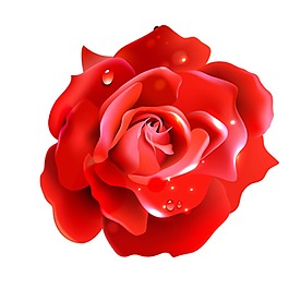 浪漫紅色花朵元素