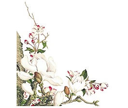 水墨白色花朵元素