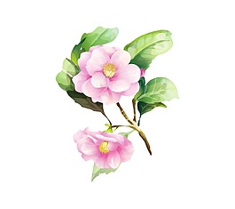 小清新粉色花朵元素