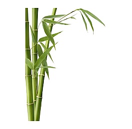 小清新綠色竹子元素