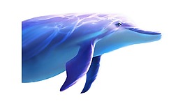 手繪大海海豚元素