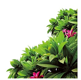 小清新綠葉花叢元素