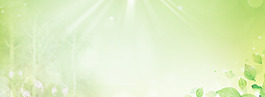 夢幻清新綠色樹葉banner背景素材