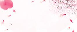 清新紅色花瓣banner背景素材