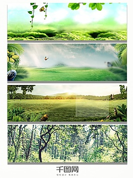 草坪森林绿色背景banner