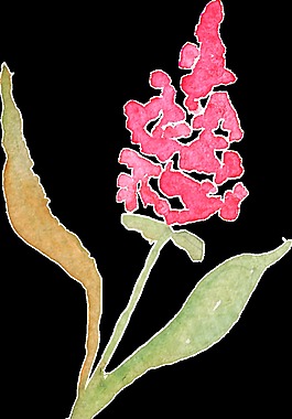 粉色桃花卡通透明裝飾素材