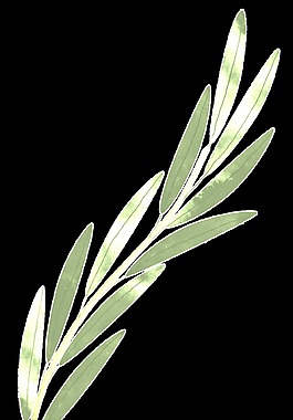 金綠花葉卡通透明裝飾素材