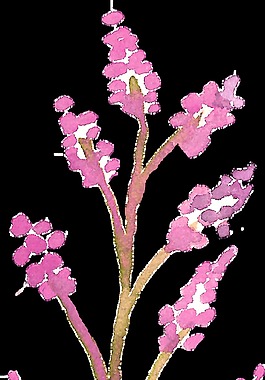 粉桃花枝卡通透明装饰素材