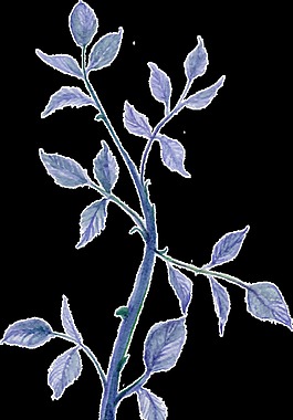 紫蓝树枝卡通透明装饰素材