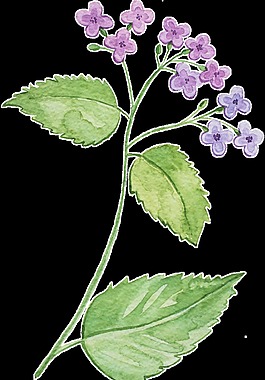 小型花葉卡通透明裝飾素材