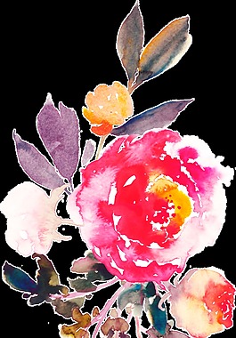 藝術(shù)花邊卡通透明裝飾素材