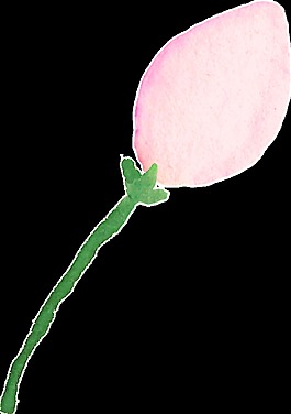 粉心花葉卡通透明裝飾素材