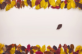 紅黃葉子背景圖psd源文件