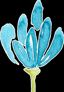 水藍(lán)枝葉卡通透明素材