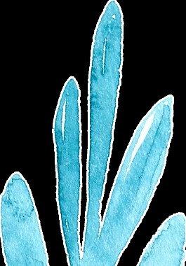 水藍(lán)枝葉卡通透明素材
