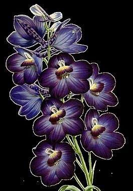 淡紫花粉卡通透明素材