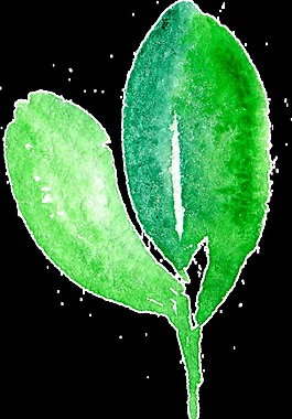 水晶嫩芽卡通透明素材