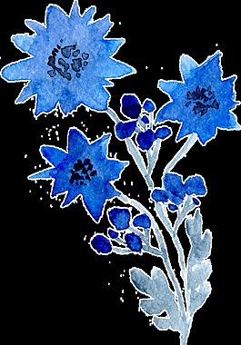 水藍(lán)花葉卡通透明素材