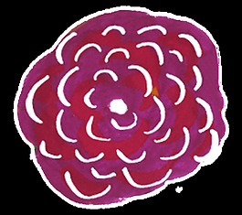 唯美花卉卡通透明素材