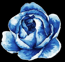 藍(lán)色時(shí)尚玫瑰花卡通透明素材