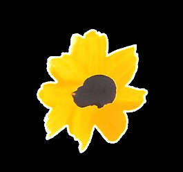 黃色精致太陽(yáng)花卡通透明素材