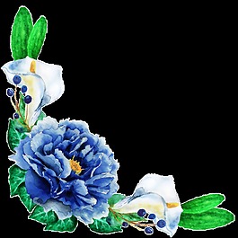 卡片裝飾花卉卡通透明素材