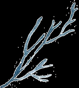 水墨樹干卡通透明素材