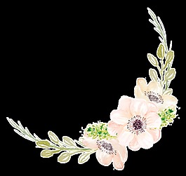 優(yōu)雅花卉邊框卡通透明素材