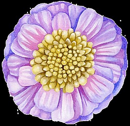 夢(mèng)幻紫色花卉卡通透明素材