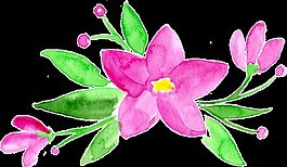 粉色優(yōu)雅花卉卡通透明素材