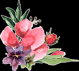 優(yōu)美花卉卡通透明素材