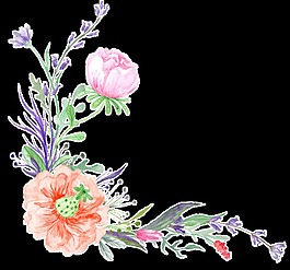 時(shí)尚元素花卉卡通透明素材