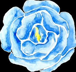 藍(lán)白素雅花朵卡通透明素材