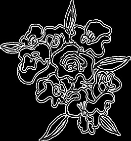 復(fù)雜手繪花朵卡通透明素材