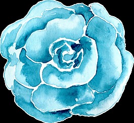 藍(lán)色唯美花卉透明素材