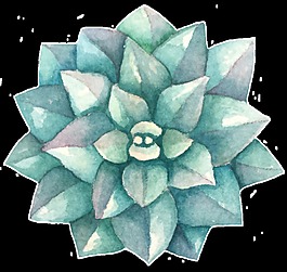 尖角植物卡通透明素材