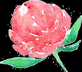 情人節(jié)花卉卡通透明素材