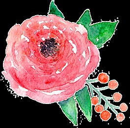 艷麗美麗花卉卡通透明素材