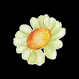 清新花卉裝飾花束卡通透明素材