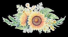 夢(mèng)幻向日葵花卉卡通透明素材