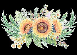向日葵花叢卡通透明素材