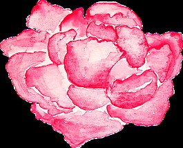 粉色優(yōu)雅花卉透明素材