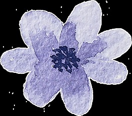 紫色淡雅花卉透明素材