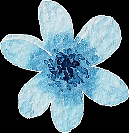 藍(lán)色美麗花卉透明素材