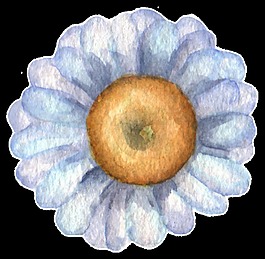 白色素描花卉透明素材