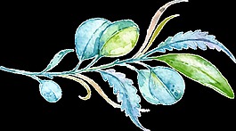 優(yōu)雅美麗樹葉卡通水彩透明素材