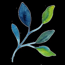 搖擺樹(shù)葉透明素材